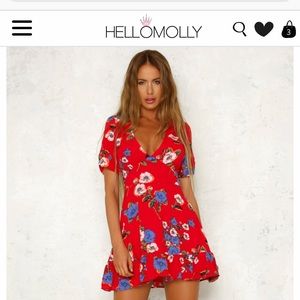 hello Molly red floral dress (small)